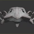 Fascinating Marine Animal With White Body Multiple Tentacles Black Eyes And Red Details