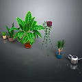 Various Indoor Plants Large Leaf Green Plant Climbing Vine Small Potted Plants And Watering Can