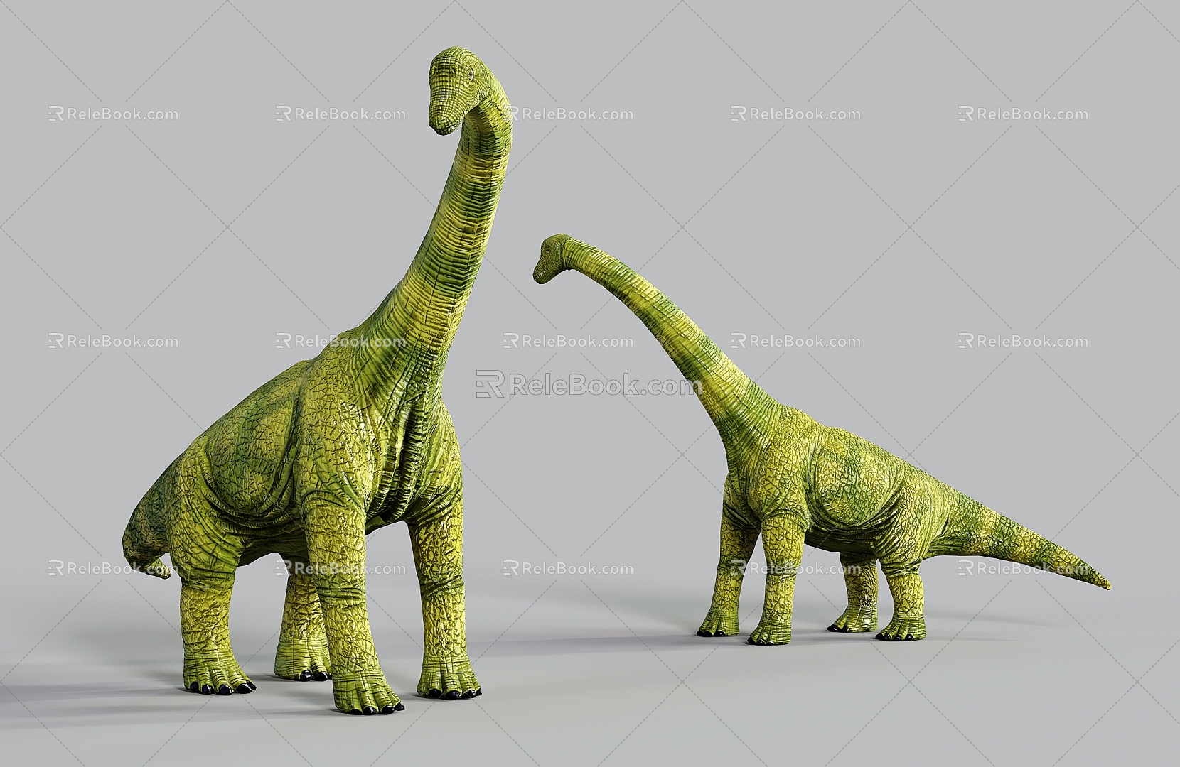 Modern reptile Brachiosaurus dinosaur 3d model