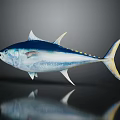 Blue and White Tuna Fish with Yellow Spots on Shiny Reflective Surface