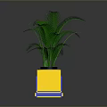 Lush Green Indoor Fern Plant In Modern Geometric Colorful Cubic Planter