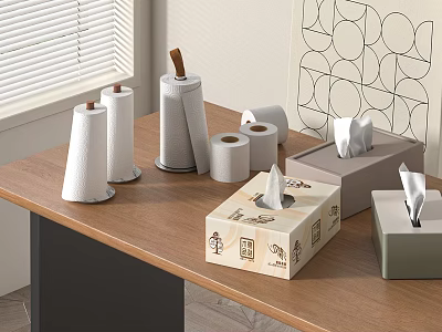 Assorted Tissue Rolls And Boxes On Wooden Table With Window Blinds Geometric Wall 3d model