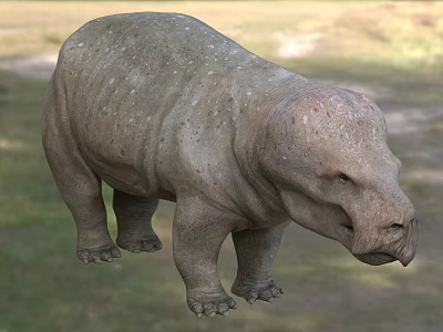 Stocky Reptile With Rough Textured Skin And Spotted Pattern In Natural Grassy Habitat Standing Posture 3d model