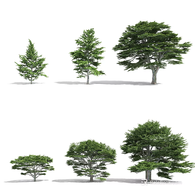 Various Arbor Trees With Different Sizes And Lush Green Foliage 3d model