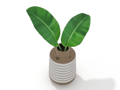 Fresh Large Green Banana Leaves in Brown Vase with White Stripes 3d model