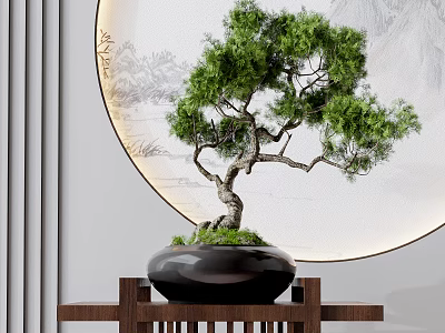 Bonsai Plant With Curved Trunk Green Foliage On Wooden Stand Against Circular Decorative Background 3d model