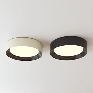 Modern minimalist ceiling lamp 3d model