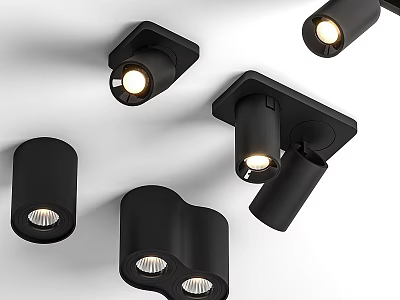 Modern Black Downlights And Spotlights With Various Designs For Home Lighting 3d model