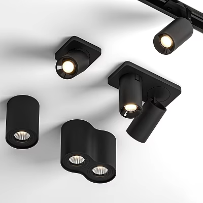Modern Black Downlights And Spotlights With Various Designs For Home Lighting 3d model