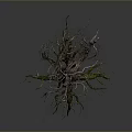 Withered Tree With Dry Trunk Branches And Green Mossy Roots On Dark Background