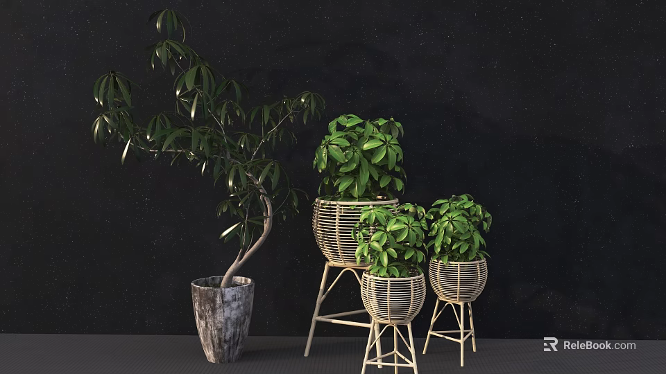 Bonsai Potted Plants With Green Leafy Foliage In Wicker Baskets And Ceramic Pots On Stands 3d model 