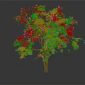 Healthy Fruit Tree With Yellow Fruits And Green Leaves On Brown Trunk