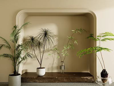 Various Bonsai Potted Plants On Indoor Niche Shelf With Different Pots And Fresh Green Leaves 3d model