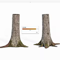 Natural Stone Wood Tree Trunks With Thick Bark Texture And Mossy Roots 3d model
