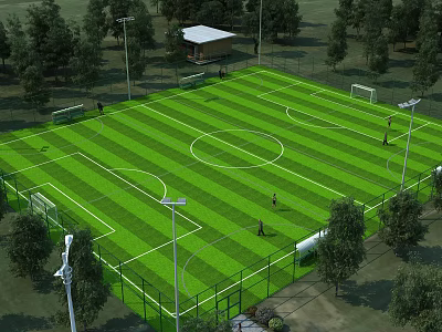 Aerial View Planning of Soccer Field With Green Lawn White Lines and Surrounding Trees 3d model