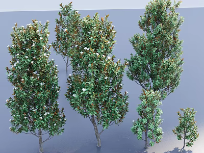 Various Sizes of Arbor Trees With Green Foliage And White Flowers 3d model