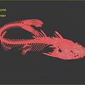 Detailed Fish Skeleton Organ Anatomical Structure 3D Render in White Isolated on Black Background