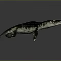 Prehistoric Mosasaur Marine Reptile With Sharp Teeth And Streamlined Body