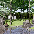 Scenic Park Landscape With Tall Trees Sunlight Filtering Through Leaves Pond And Rocks Reflections