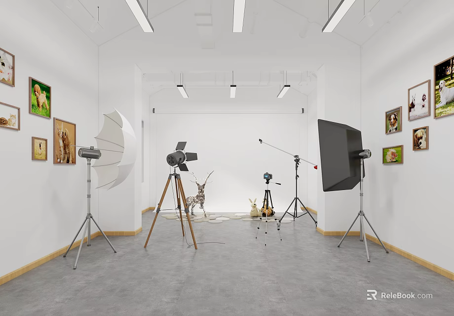 Modern Photography Studio With Studio Lights Tripods Paintings On Walls Gray Floor And Small Decor 3d model 