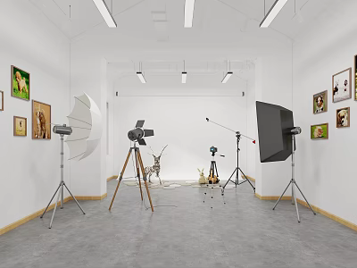 Modern Photography Studio With Studio Lights Tripods Paintings On Walls Gray Floor And Small Decor 3d model