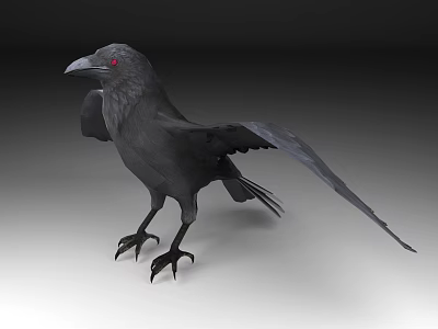 Black Crow with Red Eyes Spreading One Wing Standing on Gray Background 3d model