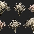 Purple Magnolia Flowering Shrub Arbor Tree Combination Park Courtyard Garden Flowering Trees Purple Magnolia Trees Street Trees Magnolia Xinyi Wooden Pen Girl Flower 3d model