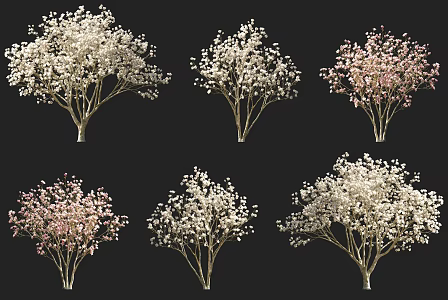 Purple Magnolia Flowering Shrub Arbor Tree Combination Park Courtyard Garden Flowering Trees Purple Magnolia Trees Street Trees Magnolia Xinyi Wooden Pen Girl Flower 3d model