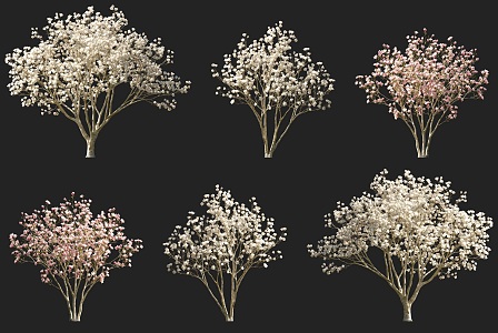 Purple Magnolia Flowering Shrub Arbor Tree Combination Park Courtyard Garden Flowering Trees Purple Magnolia Trees Street Trees Magnolia Xinyi Wooden Pen Girl Flower 3d model