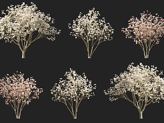 Purple Magnolia Flowering Shrub Arbor Tree Combination Park Courtyard Garden Flowering Trees Purple Magnolia Trees Street Trees Magnolia Xinyi Wooden Pen Girl Flower 3d model