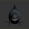 Modern Killer Whale Orca Killer Whale 3d model