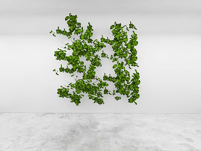 Lush Green Vines Decoration Against White Wall In Modern Indoor Space 3d model