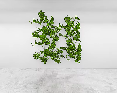 Lush Green Vines Decoration Against White Wall In Modern Indoor Space 3d model
