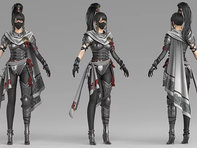 Female Game Character Design With Armor Cape And Black Silver Outfit 3d model