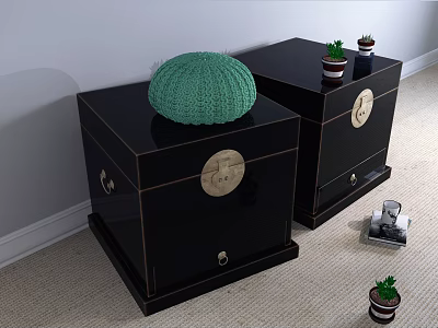 Black Entryway Side Cabinets With Circular Brass Handles Green Knitted Item And Small Potted Plants 3d model