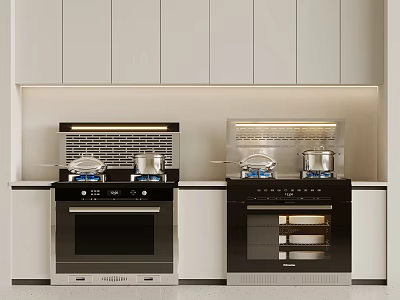 Stylish Modern Kitchen With Double Ovens Gas Stoves And White Cabinets 3d model