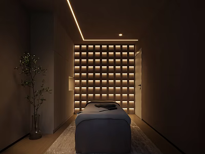 Modern SPA Sauna Room With Massage Bed Lit Grid Wall and Green Plant 3d model