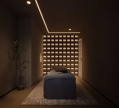 Modern SPA Sauna Room With Massage Bed Lit Grid Wall and Green Plant 3d model