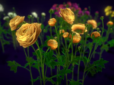Yellow Flowers With Multiple Blooms Green Stems Leaves On Dark Background And Other Colored Flowers 3d model
