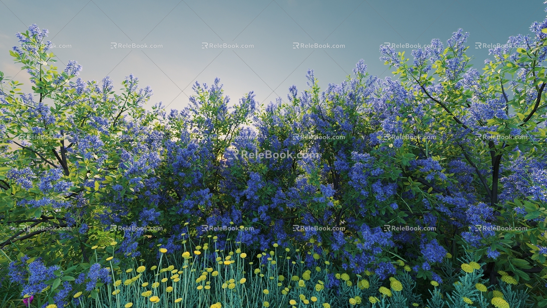 Flowers and plants combination landscape shrubs shrubs plant combination natural landscape flowers 3d model