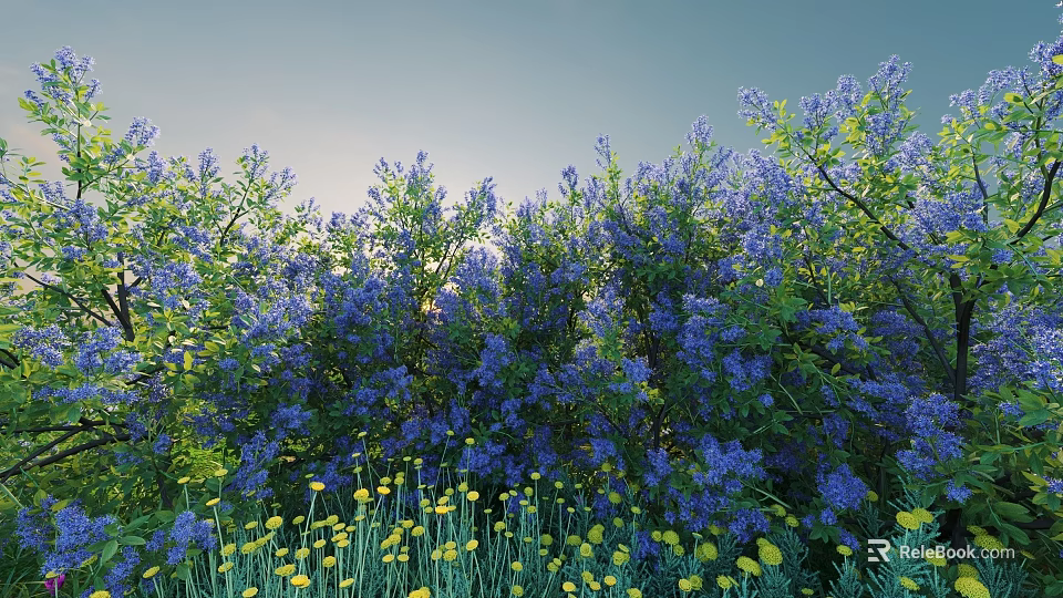Lush Purple Flowering Shrubs With Yellow Flowers In Foreground Against Clear Blue Sky 3d model 