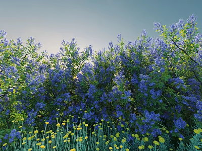 Lush Purple Flowering Shrubs With Yellow Flowers In Foreground Against Clear Blue Sky 3d model