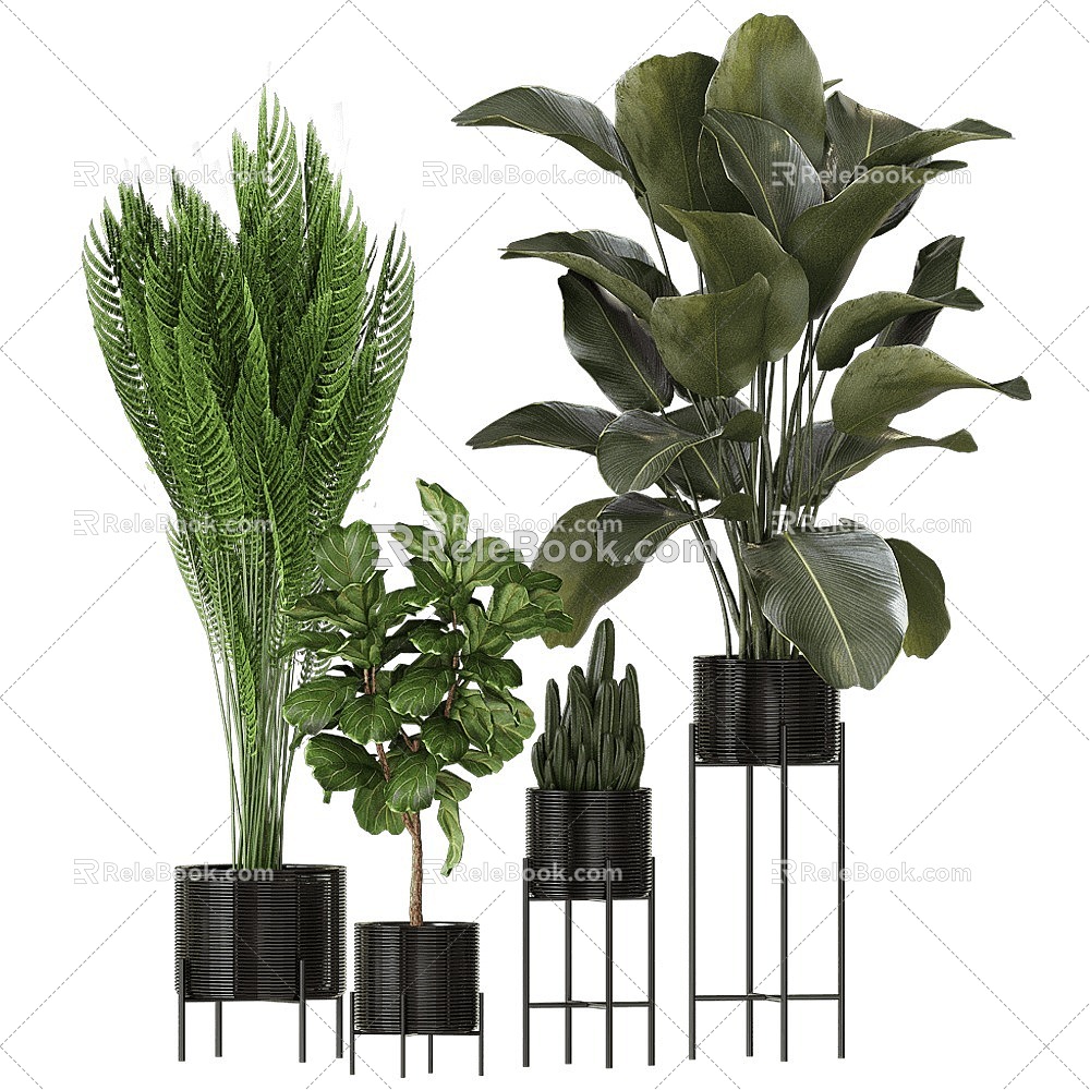 tree landscape tree shrub plant potted model