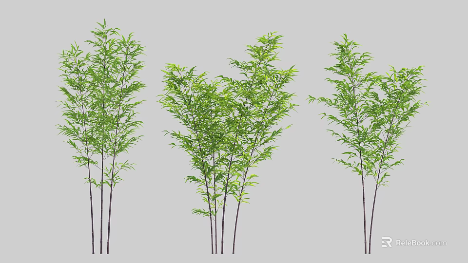 Vibrant Bamboo Plants With Lush Green Foliage And Slender Stems 3d model 