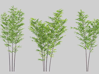 Vibrant Bamboo Plants With Lush Green Foliage And Slender Stems 3d model