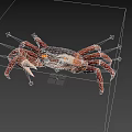 Realistic Red Crab Model With Claws Detailed Legs And Black Background