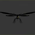 Vibrant Butterfly With Bright Green And Black Wings Displaying Striking Yellow Accents
