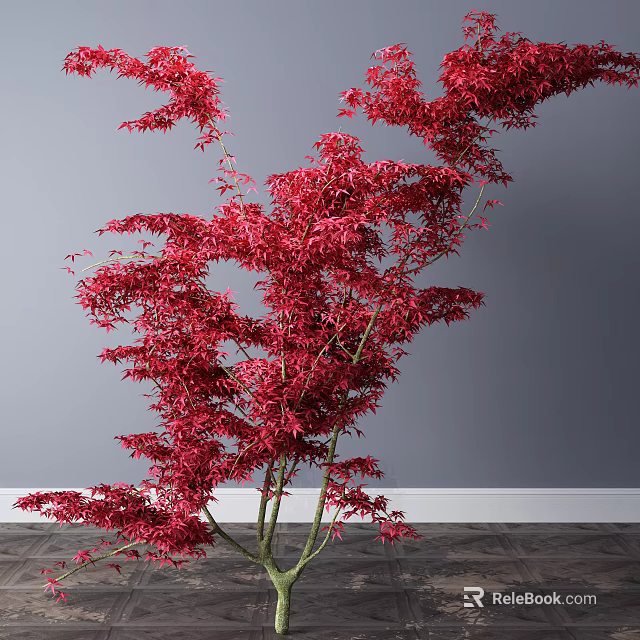 Red Leaf Arbor With Vibrant Foliage In Interior Gray Wall And Wooden Floor 3d model 