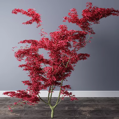 Modern tree plant bonsai 3d model Modern tree plant bonsai 3d model