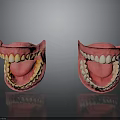 Anatomical 3D Model of Human Oral Organs Showing Teeth Gums and Tongue Structure